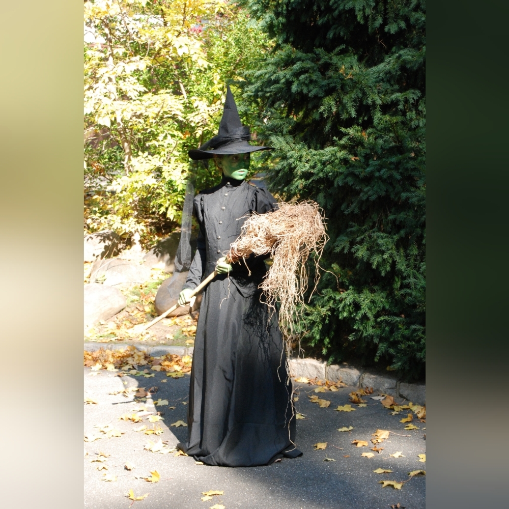 Black Wicked Witch Costume with Hat and Veil - Wizard Of Oz - Picture 9 of 9